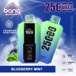 Bang 25000 25K Puffs Vape 12 Flavors