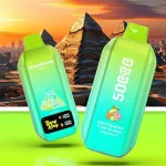 Bang King CITY 50K 50000 Puffs Vape Mr Blue