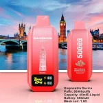 Bang King CITY 50K 50000 Puffs Vape Mr Blue