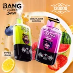 Bang Leader 120K Puffs Disposable Vape 2-in-1 Flavors Magnetic Slide Switch Smart Screen