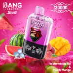 Bang Leader 120K Puffs Disposable Vape 2-in-1 Flavors Magnetic Slide Switch Smart Screen