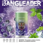 Bang Leader 20K Puffs Disposable Vape Dual Mesh Tiger Design Shipping from EU Warehouse 1