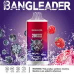 Bang Leader 20K Puffs Disposable Vape Dual Mesh Tiger Design Shipping from EU Warehouse 1