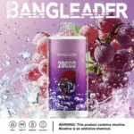 Bang Leader 20K Puffs Disposable Vape Dual Mesh Tiger Design Shipping from EU Warehouse 1