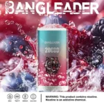 Bang Leader 20K Puffs Disposable Vape Dual Mesh Tiger Design Shipping from EU Warehouse 1