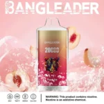 Bang Leader 20K Puffs Disposable Vape Dual Mesh Tiger Design Shipping from EU Warehouse 1