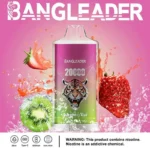 Bang Leader 20K Puffs Disposable Vape Dual Mesh Tiger Design Shipping from EU Warehouse 1