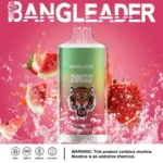 Bang Leader 20K Puffs Disposable Vape Dual Mesh Tiger Design Shipping from EU Warehouse 1