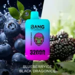 Bang Leader 32K Vape Dual Flavor 32000 Puffs Disposable Vape EU Warehouse Fast Shipping