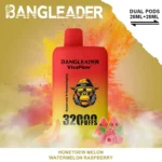 Bang Leader 32K Vape Dual Flavor 32000 Puffs Disposable Vape EU Warehouse Fast Shipping