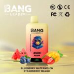 Bang Leader 45K Vape Dual Flavor LED Screen 45000 Puffs Disposable Vape EU Warehouse Shipping