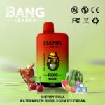 Bang Leader 45K Vape Dual Flavor LED Screen 45000 Puffs Disposable Vape EU Warehouse Shipping