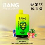 Bang Leader 45K Vape Dual Flavor LED Screen 45000 Puffs Disposable Vape EU Warehouse Shipping