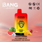 Bang Leader 45K Vape Dual Flavor LED Screen 45000 Puffs Disposable Vape EU Warehouse Shipping