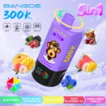 Bang DE 300K Vape 5in1 Flavors Main Image