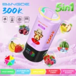 Bang DE 300K Vape 5in1 Flavors Main Image
