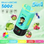 Bang DE 300K Vape 5in1 Flavors Main Image