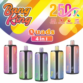 Bang-King-250K-4-in-1-main-picture