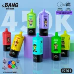 Bang Leader 450K Vape 15 in 1 Flavors Main image